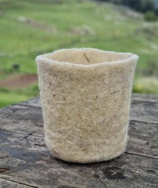 11.04 — Taller de test de feltre